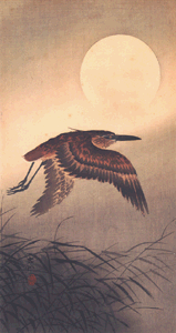 An image of a heron … used for affect