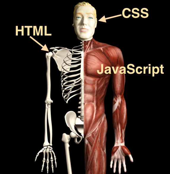 html-skeleton.jpg
