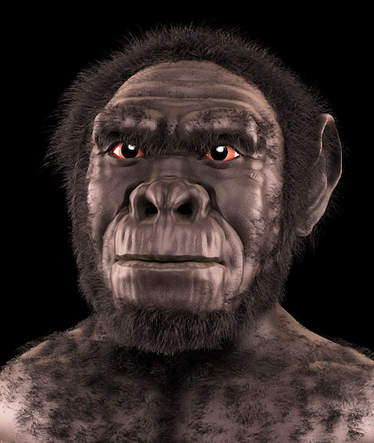 homo-habilis.png