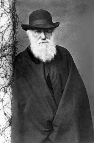 Charlie Darwin